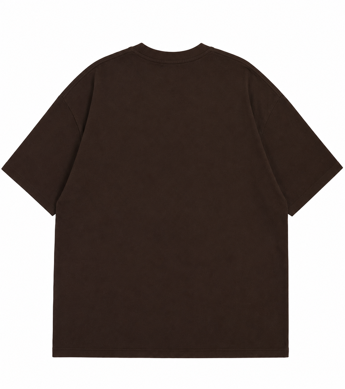 Brown Oversized T-Shirt for Men and Women